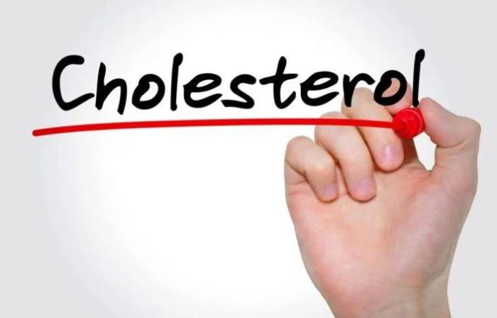 Cholesterol management