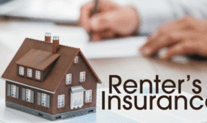 Renter’s insurance options